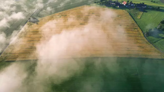 Luftbild von Feld und grüner Wiese