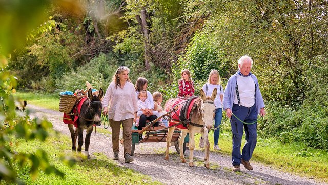 Spaziergang mit zwei Esel, einer Kutsche, Kindern und Erwachsenen im Grünen