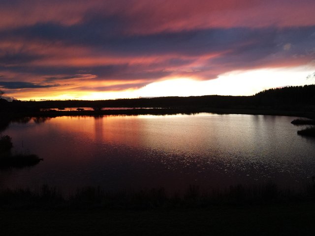 Sauldorfer See bei Sonnenuntergang